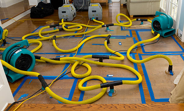 Professional Basement Flood Cleanup technician working in Philadelphia, PA